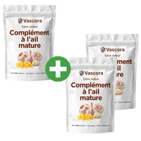 Vascora